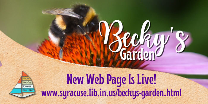 Becky's Garden Text Graphic with bee and coneflower