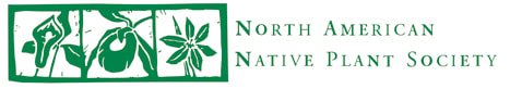 North American Native Plant Society with embedded link to website