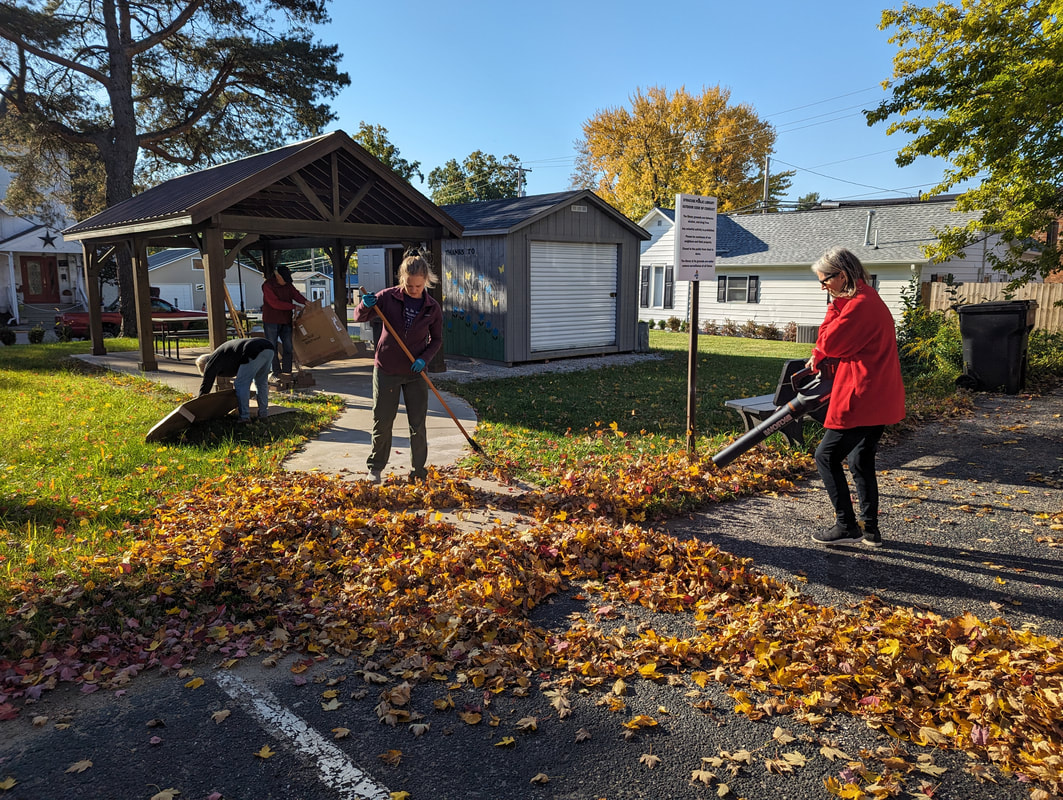 In the Garden members rake leaves and lay cardboard to prepare the garden
